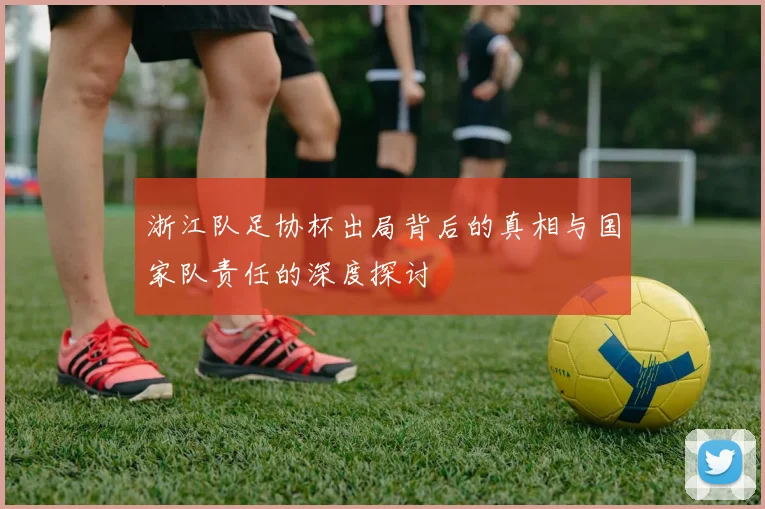 浙江队足协杯出局背后的真相与国家队责任的深度探讨