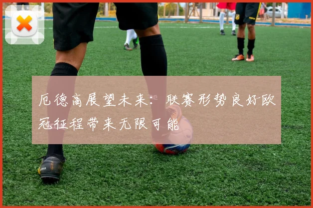 厄德高展望未来：联赛形势良好欧冠征程带来无限可能